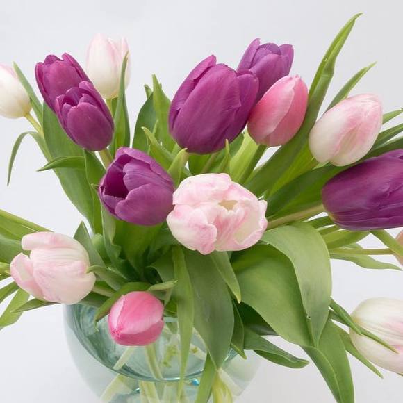 Meet your Posher, Kaza - Picture 1 of 1